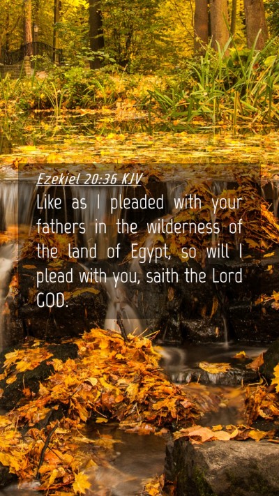 Picture 04 - Ezekiel 20:36 KJV Mobile Phone Wallpaper - Like as I pleaded with your fathers in the - Mobile Bible Verse Wallpaper