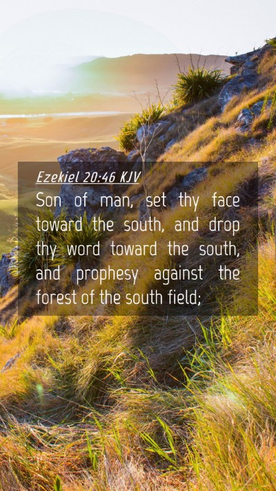 Picture 04 - Ezekiel 20:46 KJV Mobile Phone Wallpaper - Son of man, set thy face toward the south, and - Mobile Bible Verse Wallpaper
