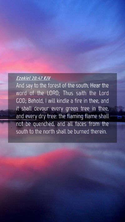 Picture 04 - Ezekiel 20:47 KJV Mobile Phone Wallpaper - And say to the forest of the south, Hear the word - Mobile Bible Verse Wallpaper