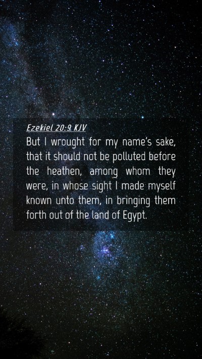 Picture 04 - Ezekiel 20:9 KJV Mobile Phone Wallpaper - But I wrought for my name's sake, that it should - Mobile Bible Verse Wallpaper