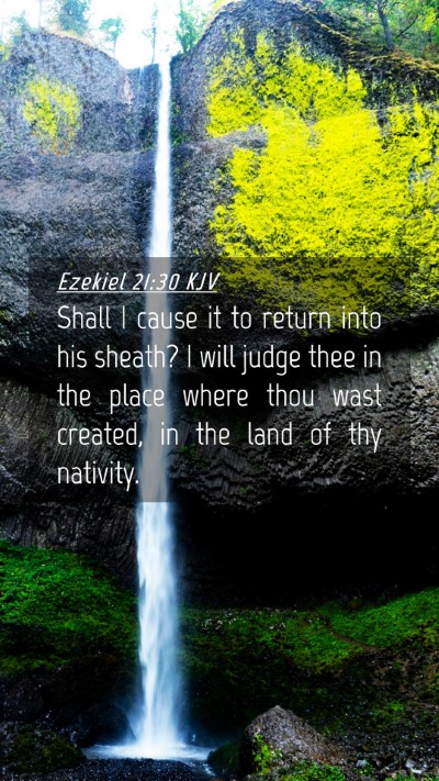 Picture 04 - Ezekiel 21:30 KJV Mobile Phone Wallpaper - Shall I cause it to return into his sheath? I - Mobile Bible Verse Wallpaper
