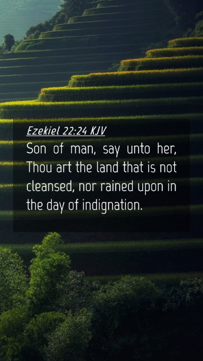 Picture 04 - Ezekiel 22:24 KJV Mobile Phone Wallpaper - Son of man, say unto her, Thou art the land that - Mobile Bible Verse Wallpaper