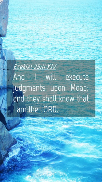 Picture 04 - Ezekiel 25:11 KJV Mobile Phone Wallpaper - And I will execute judgments upon Moab; and they - Mobile Bible Verse Wallpaper