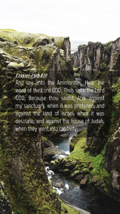 Picture 04 - Ezekiel 25:3 KJV Mobile Phone Wallpaper - And say unto the Ammonites, Hear the word of the - Mobile Bible Verse Wallpaper