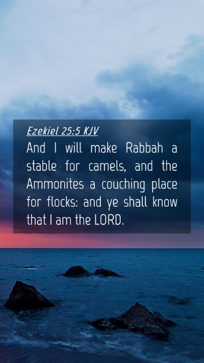 Picture 04 - Ezekiel 25:5 KJV Mobile Phone Wallpaper - And I will make Rabbah a stable for camels, and - Mobile Bible Verse Wallpaper