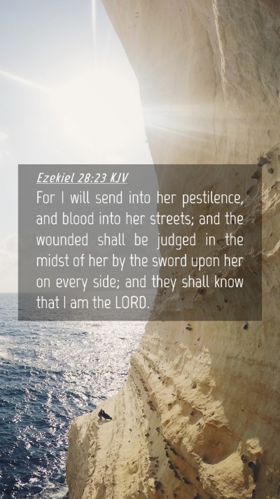 Picture 04 - Ezekiel 28:23 KJV Mobile Phone Wallpaper - For I will send into her pestilence, and blood - Mobile Bible Verse Wallpaper