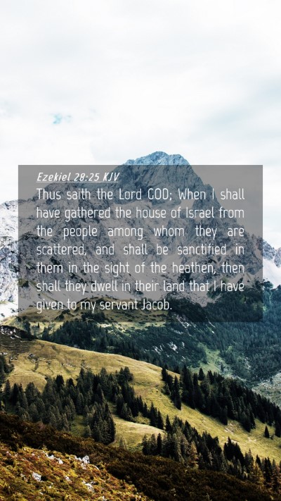 Picture 04 - Ezekiel 28:25 KJV Mobile Phone Wallpaper - Thus saith the Lord GOD; When I shall have - Mobile Bible Verse Wallpaper
