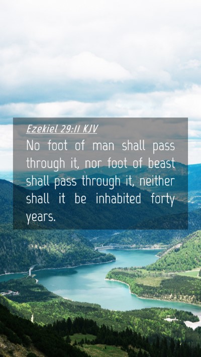 Picture 04 - Ezekiel 29:11 KJV Mobile Phone Wallpaper - No foot of man shall pass through it, nor foot of - Mobile Bible Verse Wallpaper