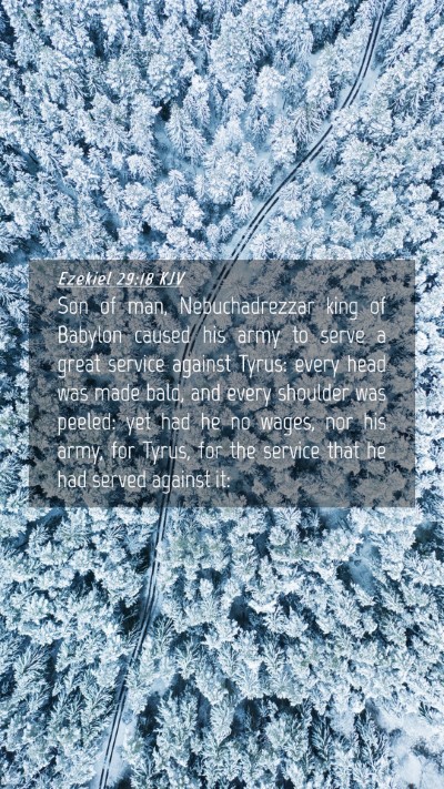 Picture 04 - Ezekiel 29:18 KJV Mobile Phone Wallpaper - Son of man, Nebuchadrezzar king of Babylon caused - Mobile Bible Verse Wallpaper
