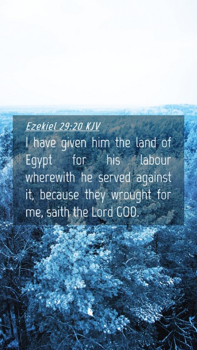 Picture 04 - Ezekiel 29:20 KJV Mobile Phone Wallpaper - I have given him the land of Egypt for his labour - Mobile Bible Verse Wallpaper