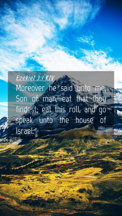 Picture 04 - Ezekiel 3:1 KJV Mobile Phone Wallpaper - Moreover he said unto me, Son of man, eat that - Mobile Bible Verse Wallpaper