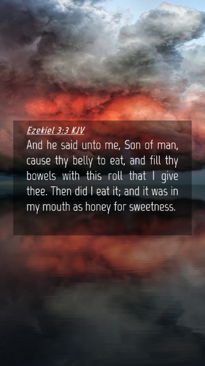 Picture 04 - Ezekiel 3:3 KJV Mobile Phone Wallpaper - And he said unto me, Son of man, cause thy belly - Mobile Bible Verse Wallpaper