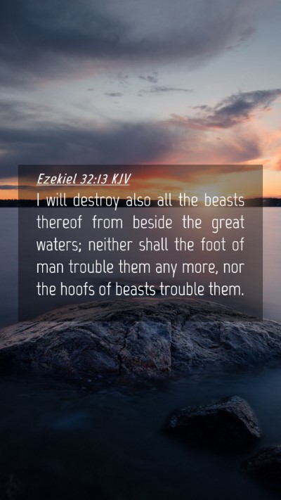 Picture 04 - Ezekiel 32:13 KJV Mobile Phone Wallpaper - I will destroy also all the beasts thereof from - Mobile Bible Verse Wallpaper