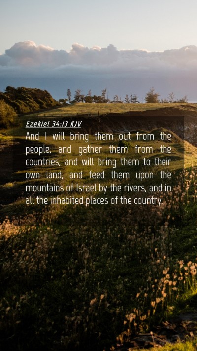 Picture 04 - Ezekiel 34:13 KJV Mobile Phone Wallpaper - And I will bring them out from the people, and - Mobile Bible Verse Wallpaper