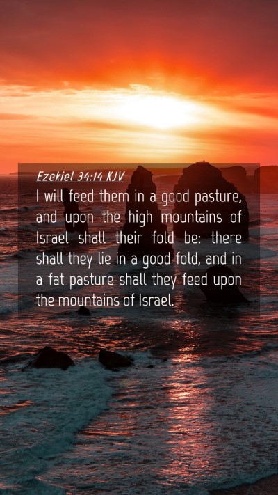 Picture 04 - Ezekiel 34:14 KJV Mobile Phone Wallpaper - I will feed them in a good pasture, and upon the - Mobile Bible Verse Wallpaper