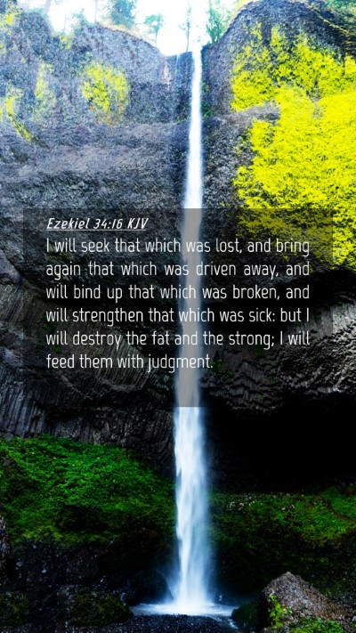 Picture 04 - Ezekiel 34:16 KJV Mobile Phone Wallpaper - I will seek that which was lost, and bring again - Mobile Bible Verse Wallpaper