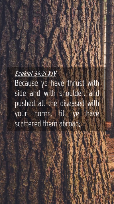 Picture 04 - Ezekiel 34:21 KJV Mobile Phone Wallpaper - Because ye have thrust with side and with - Mobile Bible Verse Wallpaper