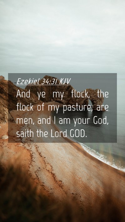 Picture 04 - Ezekiel 34:31 KJV Mobile Phone Wallpaper - And ye my flock, the flock of my pasture, are - Mobile Bible Verse Wallpaper