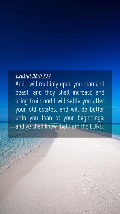 Picture 04 - Ezekiel 36:11 KJV Mobile Phone Wallpaper - And I will multiply upon you man and beast; and - Mobile Bible Verse Wallpaper