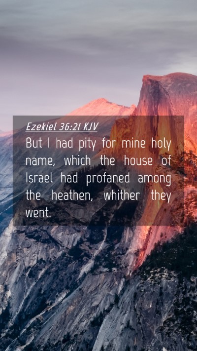 Picture 04 - Ezekiel 36:21 KJV Mobile Phone Wallpaper - But I had pity for mine holy name, which the - Mobile Bible Verse Wallpaper