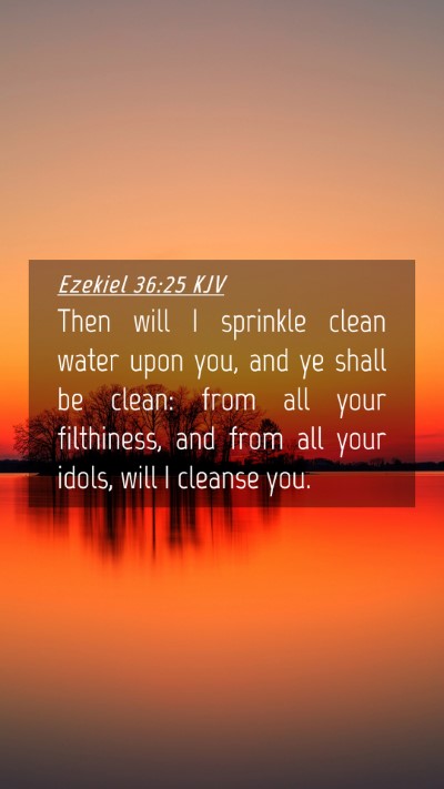 Picture 04 - Ezekiel 36:25 KJV Mobile Phone Wallpaper - Then will I sprinkle clean water upon you, and ye - Mobile Bible Verse Wallpaper