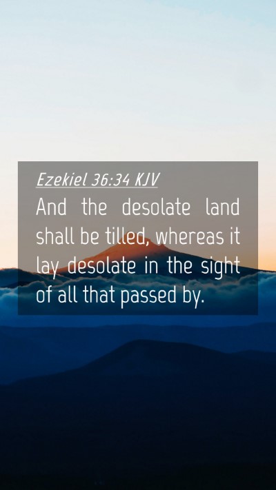 Picture 04 - Ezekiel 36:34 KJV Mobile Phone Wallpaper - And the desolate land shall be tilled, whereas it - Mobile Bible Verse Wallpaper