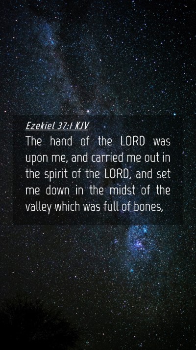 Picture 04 - Ezekiel 37:1 KJV Mobile Phone Wallpaper - The hand of the LORD was upon me, and carried me - Mobile Bible Verse Wallpaper