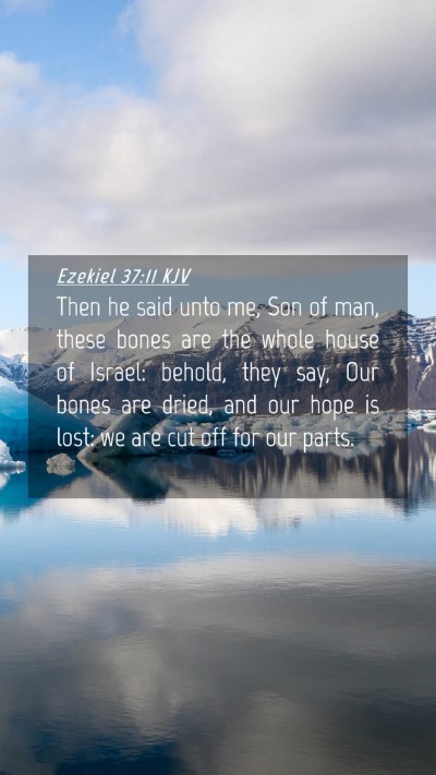 Picture 04 - Ezekiel 37:11 KJV Mobile Phone Wallpaper - Then he said unto me, Son of man, these bones are - Mobile Bible Verse Wallpaper