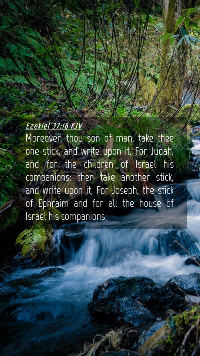 Picture 04 - Ezekiel 37:16 KJV Mobile Phone Wallpaper - Moreover, thou son of man, take thee one stick, - Mobile Bible Verse Wallpaper