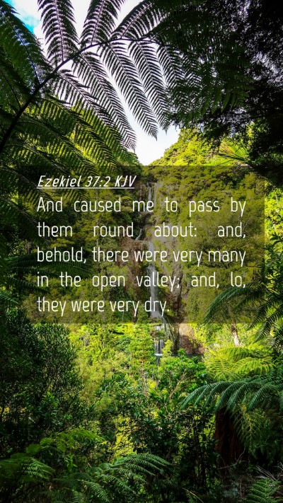 Picture 04 - Ezekiel 37:2 KJV Mobile Phone Wallpaper - And caused me to pass by them round about: and, - Mobile Bible Verse Wallpaper