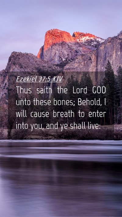 Picture 04 - Ezekiel 37:5 KJV Mobile Phone Wallpaper - Thus saith the Lord GOD unto these bones; Behold, - Mobile Bible Verse Wallpaper