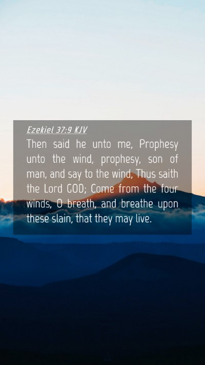 Picture 04 - Ezekiel 37:9 KJV Mobile Phone Wallpaper - Then said he unto me, Prophesy unto the wind, - Mobile Bible Verse Wallpaper