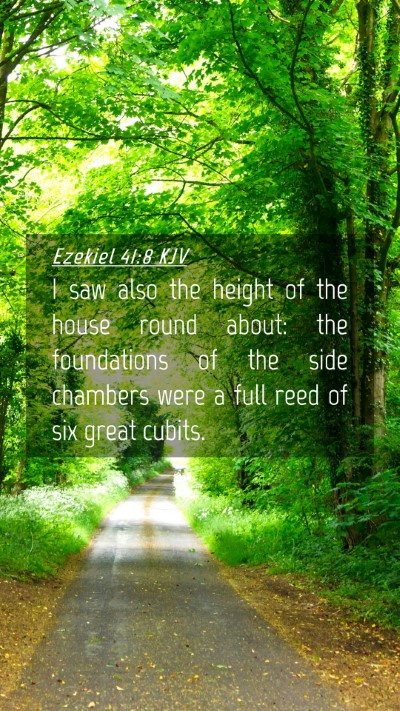 Picture 04 - Ezekiel 41:8 KJV Mobile Phone Wallpaper - I saw also the height of the house round about: - Mobile Bible Verse Wallpaper