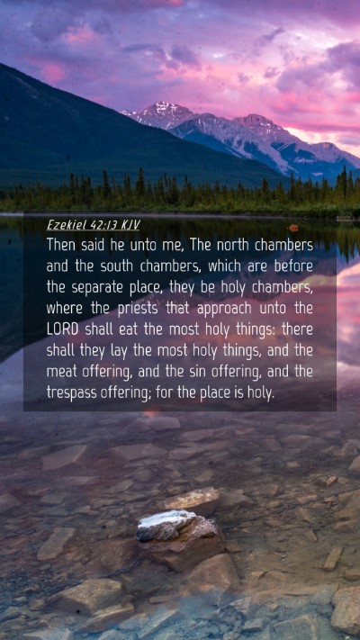 Picture 04 - Ezekiel 42:13 KJV Mobile Phone Wallpaper - Then said he unto me, The north chambers and the - Mobile Bible Verse Wallpaper