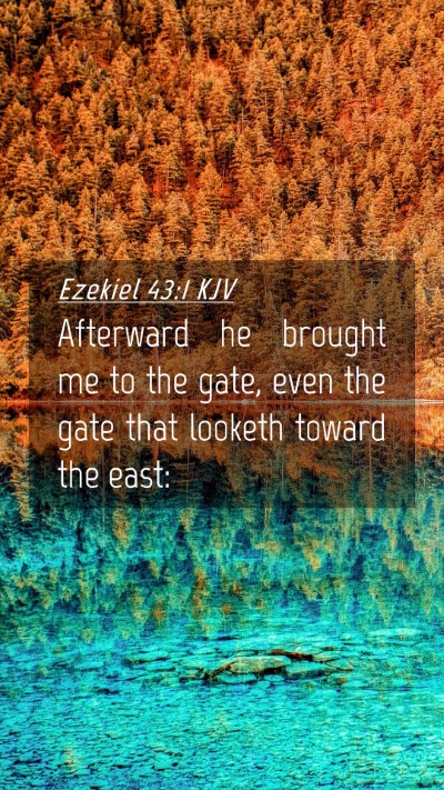 Picture 04 - Ezekiel 43:1 KJV Mobile Phone Wallpaper - Afterward he brought me to the gate, even the - Mobile Bible Verse Wallpaper