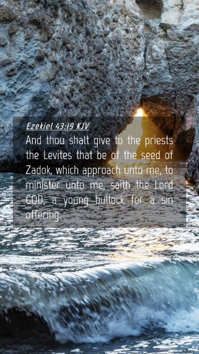 Picture 04 - Ezekiel 43:19 KJV Mobile Phone Wallpaper - And thou shalt give to the priests the Levites - Mobile Bible Verse Wallpaper