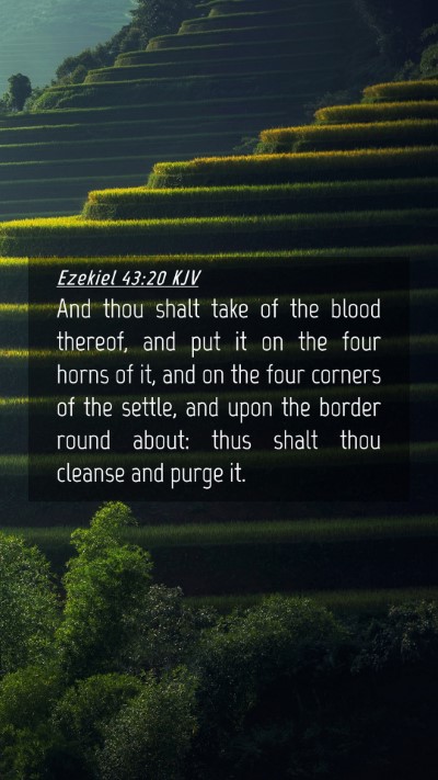 Picture 04 - Ezekiel 43:20 KJV Mobile Phone Wallpaper - And thou shalt take of the blood thereof, and put - Mobile Bible Verse Wallpaper