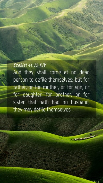 Picture 04 - Ezekiel 44:25 KJV Mobile Phone Wallpaper - And they shall come at no dead person to defile - Mobile Bible Verse Wallpaper