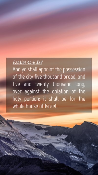 Picture 04 - Ezekiel 45:6 KJV Mobile Phone Wallpaper - And ye shall appoint the possession of the city - Mobile Bible Verse Wallpaper