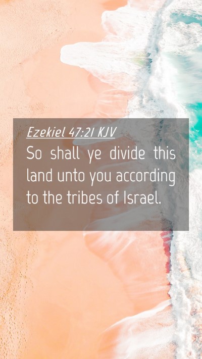 Picture 04 - Ezekiel 47:21 KJV Mobile Phone Wallpaper - So shall ye divide this land unto you according - Mobile Bible Verse Wallpaper