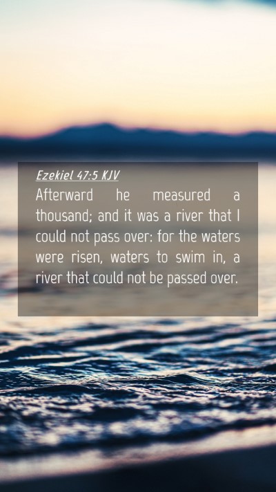 Picture 04 - Ezekiel 47:5 KJV Mobile Phone Wallpaper - Afterward he measured a thousand; and it was a - Mobile Bible Verse Wallpaper