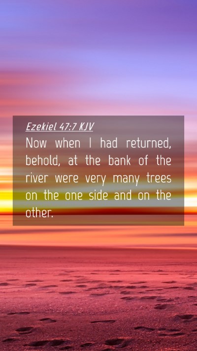 Picture 04 - Ezekiel 47:7 KJV Mobile Phone Wallpaper - Now when I had returned, behold, at the bank of - Mobile Bible Verse Wallpaper