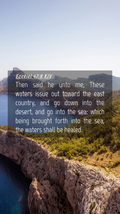 Picture 04 - Ezekiel 47:8 KJV Mobile Phone Wallpaper - Then said he unto me, These waters issue out - Mobile Bible Verse Wallpaper