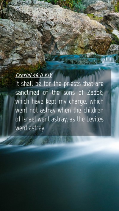 Picture 04 - Ezekiel 48:11 KJV Mobile Phone Wallpaper - It shall be for the priests that are sanctified - Mobile Bible Verse Wallpaper