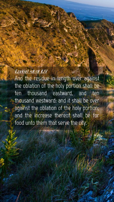 Picture 04 - Ezekiel 48:18 KJV Mobile Phone Wallpaper - And the residue in length over against the - Mobile Bible Verse Wallpaper
