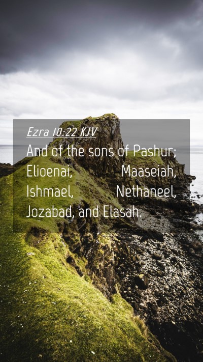 Picture 04 - Ezra 10:22 KJV Mobile Phone Wallpaper - And of the sons of Pashur; Elioenai, Maaseiah, - Mobile Bible Verse Wallpaper