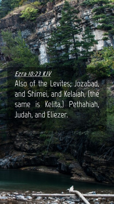 Picture 04 - Ezra 10:23 KJV Mobile Phone Wallpaper - Also of the Levites; Jozabad, and Shimei, and - Mobile Bible Verse Wallpaper