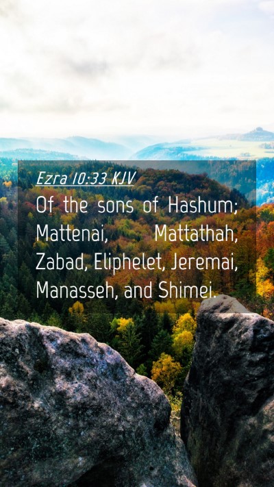 Picture 04 - Ezra 10:33 KJV Mobile Phone Wallpaper - Of the sons of Hashum; Mattenai, Mattathah, - Mobile Bible Verse Wallpaper