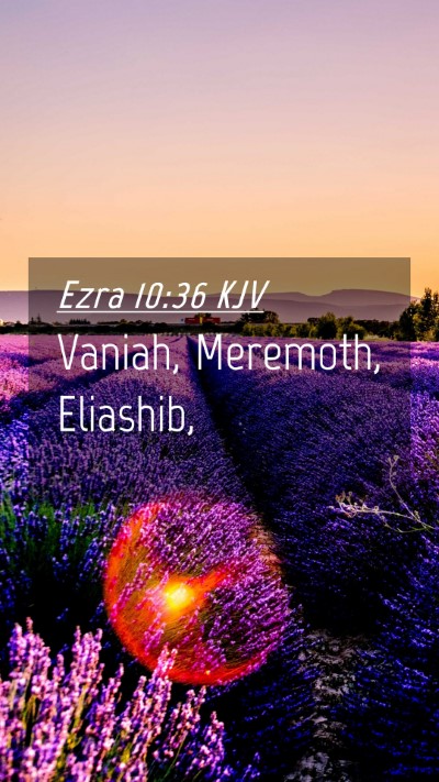 Picture 04 - Ezra 10:36 KJV Mobile Phone Wallpaper - Vaniah, Meremoth, - Mobile Bible Verse Wallpaper