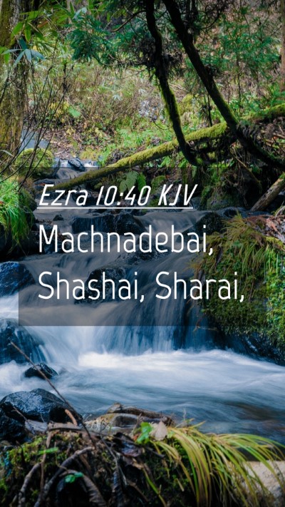 Picture 04 - Ezra 10:40 KJV Mobile Phone Wallpaper - Machnadebai, Shashai, - Mobile Bible Verse Wallpaper